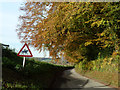 Autumn on Newton Lane