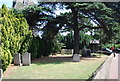 Graveyard, Church of St Mary