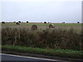 Farmland beside the A92