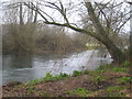 The River Nadder at Bemerton