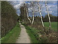 Footpath, Sankey Valley Park, Newton Common