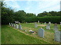 Saint Mary, Drimpton: churchyard (C)