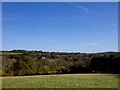 Scrag Oak from the Wenbans Footpath