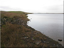 NS5149 : Edge of Bennan Loch by G Laird