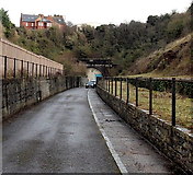 ST1166 : Blocked off western portal to the tunnel to the former Barry Pier railway station by Jaggery