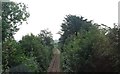 Railway line at Lamphey