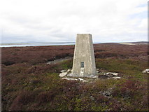 HY5635 : Eday; Trig point on Stennie Hill by Colin Park