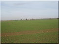 SK9295 : View towards White Hoe Farm by Jonathan Thacker
