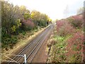 Autumn colours along railway lines