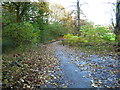 Public footpath in Town Park