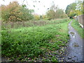 Footpath at Roseacre