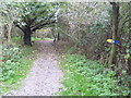 Path in Vinters Valley Nature Reserve