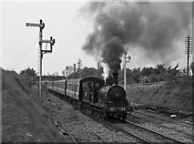M5028 : Steam train leaving Athenry by The Carlisle Kid