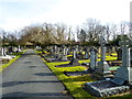 Monuments in Hale Cemetery