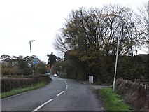 SD3630 : Leaning lampposts by Peel Lane by Barbara Carr
