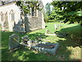 St. Stephen, Bettiscombe: churchyard (5)