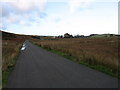 The lane to Hesket Newmarket