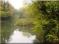 Pond in Crox Bottom