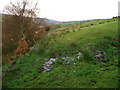 SE0612 : Wet patch on the Colne Valley Circular Walk by Humphrey Bolton