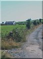 Farm access lane off Victoria Road, Ballyhalbert