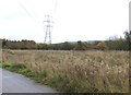 Power line at Stone Moor