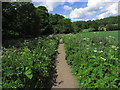 Clyde Walkway E of Crossford - View N