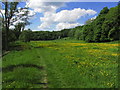 On the Clyde Walkway, SE of Milton - Lockhart