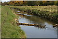 The River Foss towards Haxby