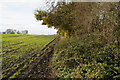 Walking towards Landing Lane, Haxby