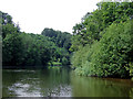 The River Severn west of Holt Lock and Weir, Worcestershire