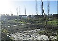 Allotments - off Dixon Close