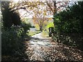 Footpath - off Martin Green Lane