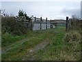 Sheep pen by the public footpath to Cae Haidd Mawr