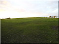 Whitings Hill open space, Barnet