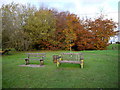 Benches on Box Hill Common