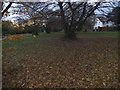 Green on Totteridge Common