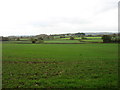 ST2019 : Farmland near Angersleigh by David Purchase