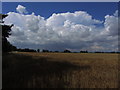 TG3502 : Shower clouds over Norfolk - View W across fields from Langley Green by Colin Park