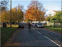 TL4657 : Davy Road: autumn leaves and commuters' cars by John Sutton