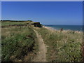 TG2441 : On Paston Way - Cliff top path , W of Overstrand by Colin Park