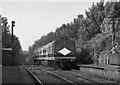 Train approaching Craigavad station - 1987