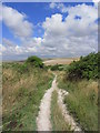 Enclosed bridleway, NE side of Denton, Newhaven