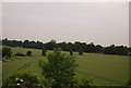 Farmland, Little Hyde Hall