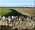 A fine stone wall