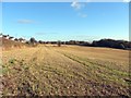 Field south of Hexham Road, Throckley