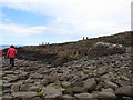 C9444 : The Giant's Causeway from the Middle Causeway by Eric Jones