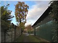 Footpath to Love Lane