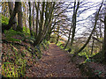 SN1416 : Bridleway near Llanddewi Velfrey church by Dylan Moore