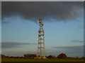 TF4213 : Newton telecommunications mast near Wisbech by Richard Humphrey