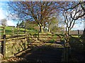 Cattle grid and footpath